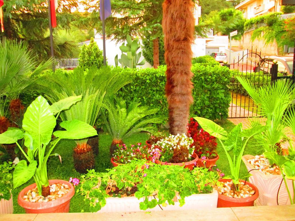 אסקולי פיצ'נו B&B Le Begonie חדר תמונה