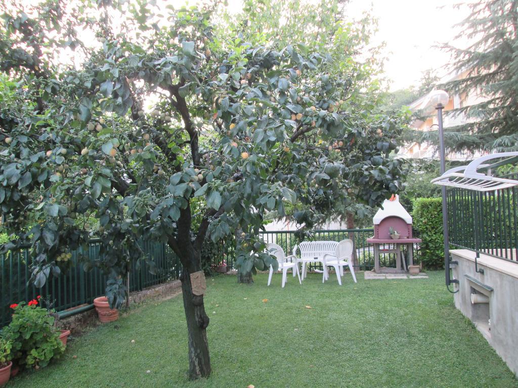 אסקולי פיצ'נו B&B Le Begonie מראה חיצוני תמונה