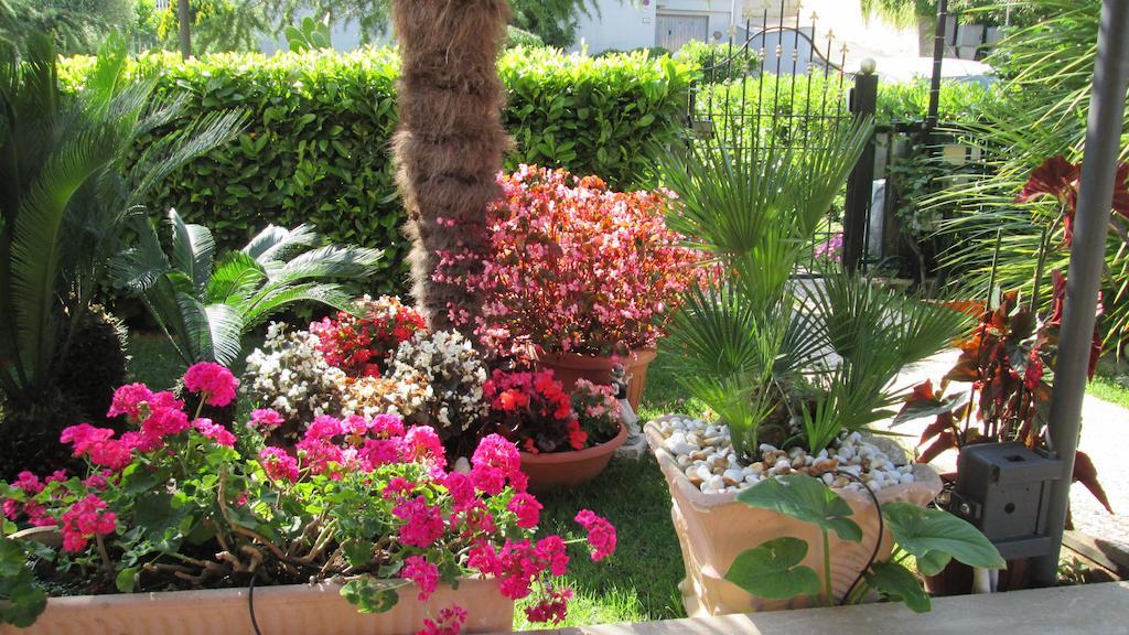 אסקולי פיצ'נו B&B Le Begonie מראה חיצוני תמונה